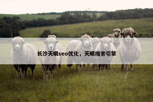 长沙天眼seo优化，天眼搜索引擎