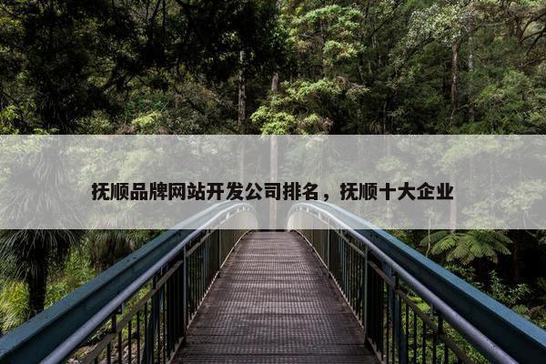 抚顺品牌网站开发公司排名，抚顺十大企业