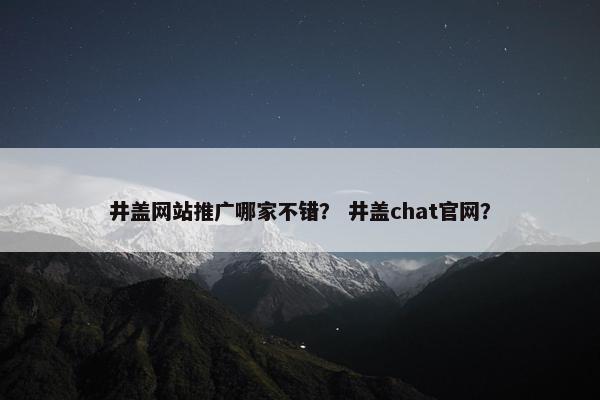 井盖网站推广哪家不错？ 井盖chat官网？