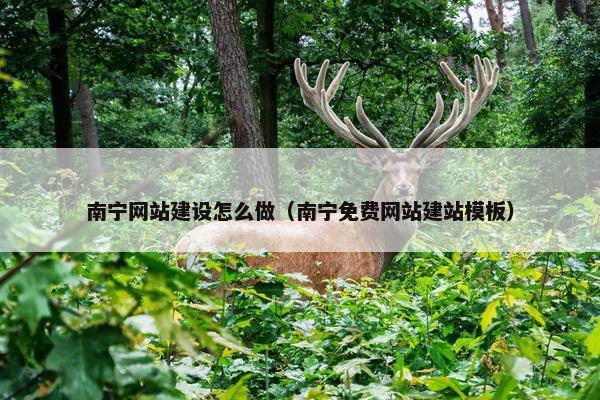 南宁网站建设怎么做（南宁免费网站建站模板）