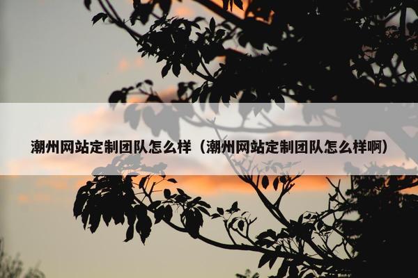 潮州网站定制团队怎么样（潮州网站定制团队怎么样啊）