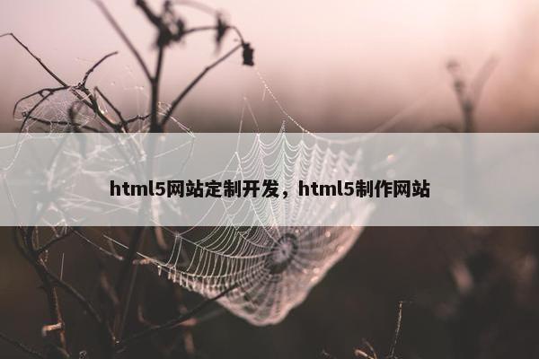 html5网站定制开发，html5制作网站