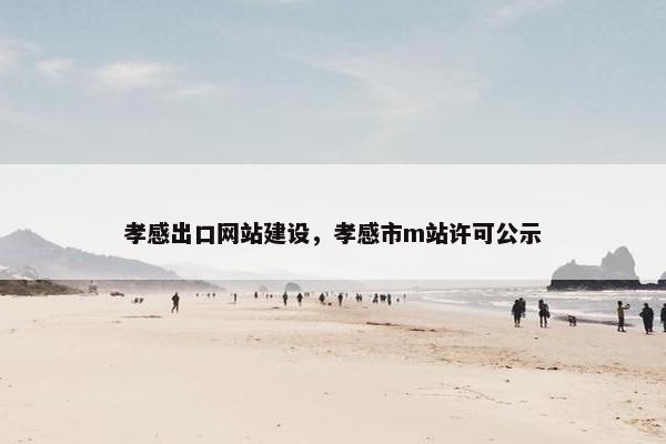 孝感出口网站建设，孝感市m站许可公示