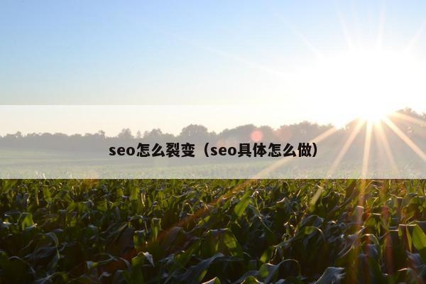 seo怎么裂变（seo具体怎么做）