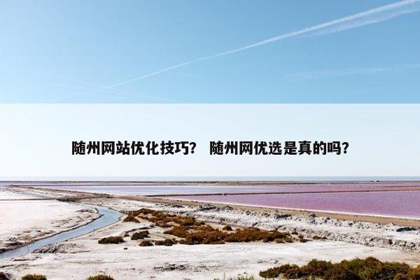 随州网站优化技巧？ 随州网优选是真的吗？