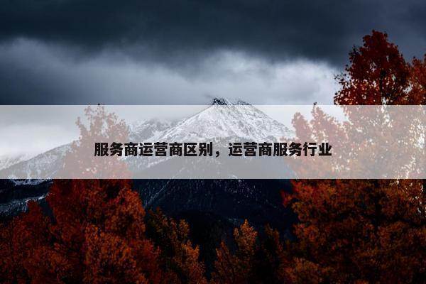 服务商运营商区别，运营商服务行业