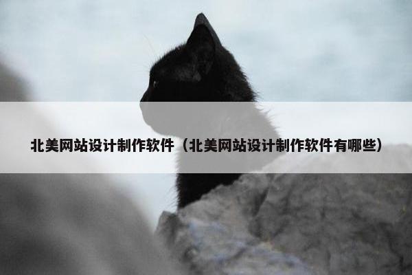 北美网站设计制作软件（北美网站设计制作软件有哪些）