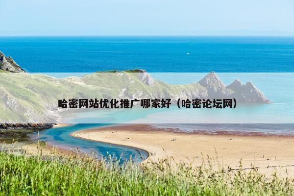 哈密网站优化推广哪家好（哈密论坛网）