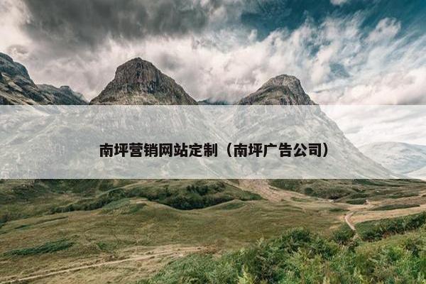 南坪营销网站定制（南坪广告公司）