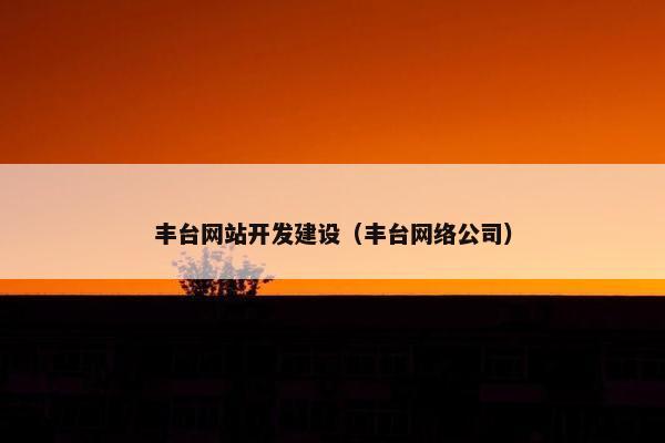丰台网站开发建设（丰台网络公司）