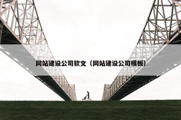 网站建设公司软文（网站建设公司模板）