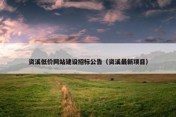 资溪低价网站建设招标公告（资溪最新项目）