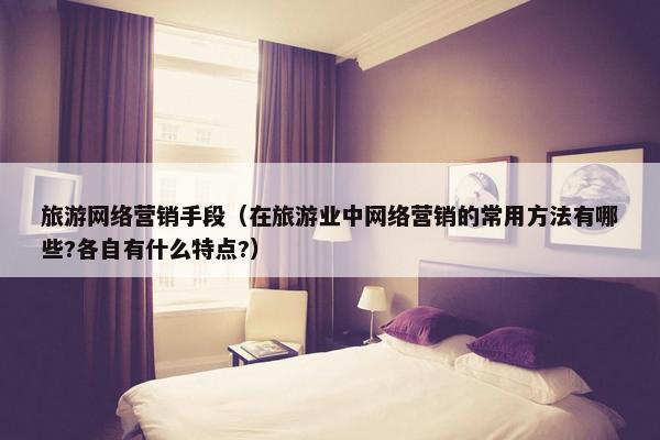 旅游网络营销手段（在旅游业中网络营销的常用方法有哪些?各自有什么特点?）