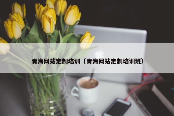 青海网站定制培训（青海网站定制培训班）