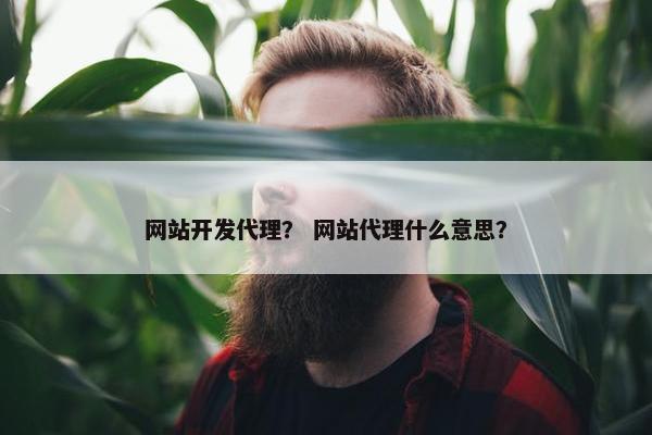 网站开发代理？ 网站代理什么意思？