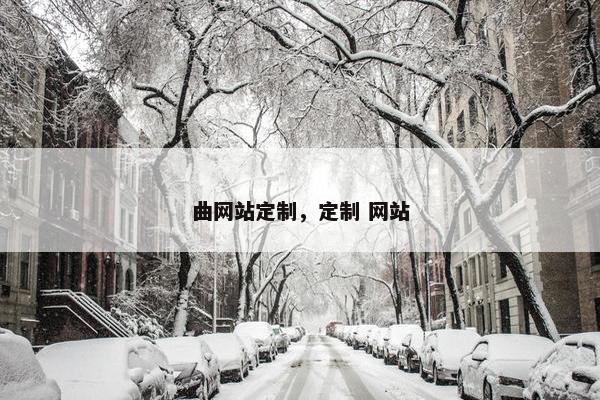 曲网站定制，定制 网站