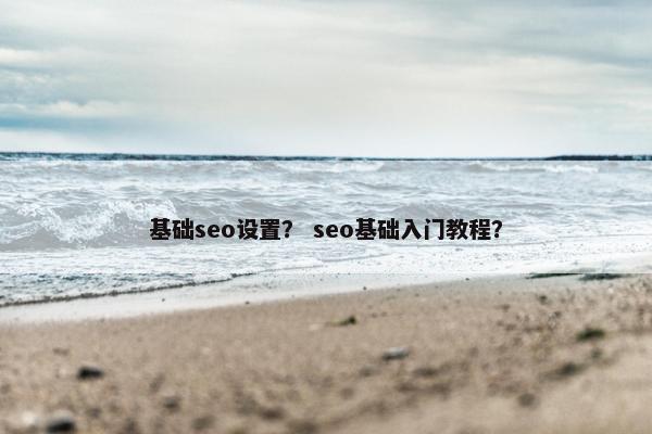 基础seo设置？ seo基础入门教程？