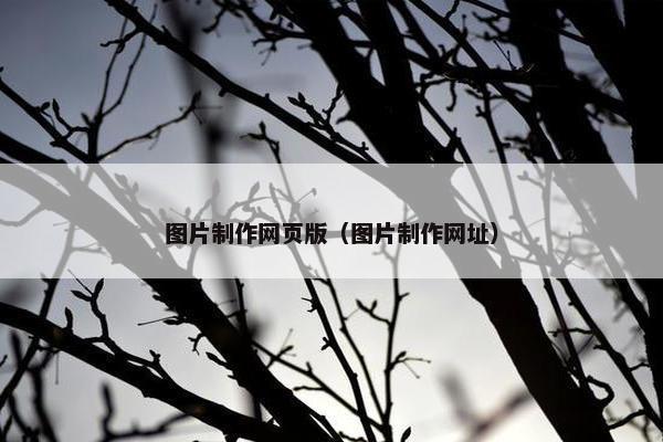 图片制作网页版（图片制作网址）