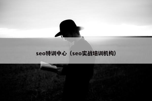 seo特训中心（seo实战培训机构）