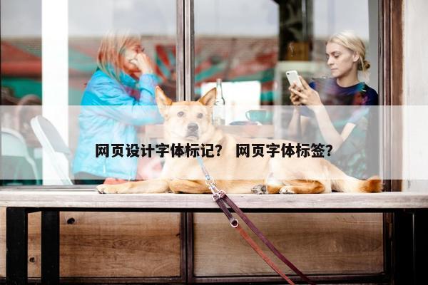 网页设计字体标记？ 网页字体标签？