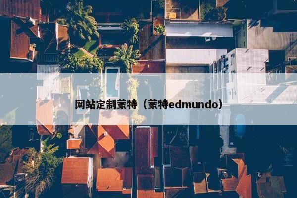 网站定制蒙特（蒙特edmundo）