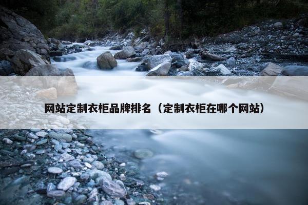 网站定制衣柜品牌排名（定制衣柜在哪个网站）