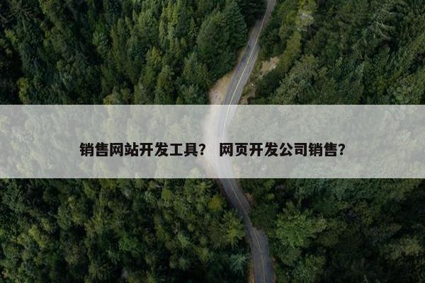 销售网站开发工具？ 网页开发公司销售？