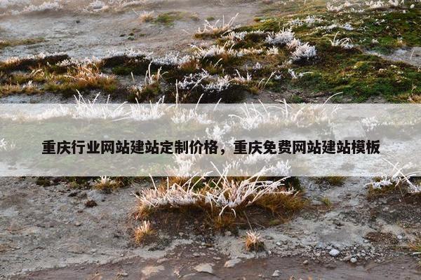 重庆行业网站建站定制价格，重庆免费网站建站模板