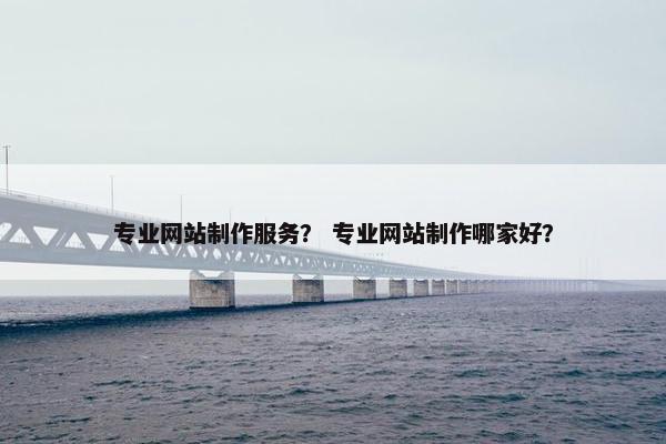专业网站制作服务？ 专业网站制作哪家好？