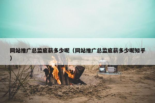 网站推广总监底薪多少呢（网站推广总监底薪多少呢知乎）