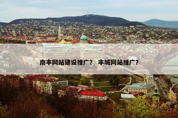 南丰网站建设推广？ 丰城网站推广？