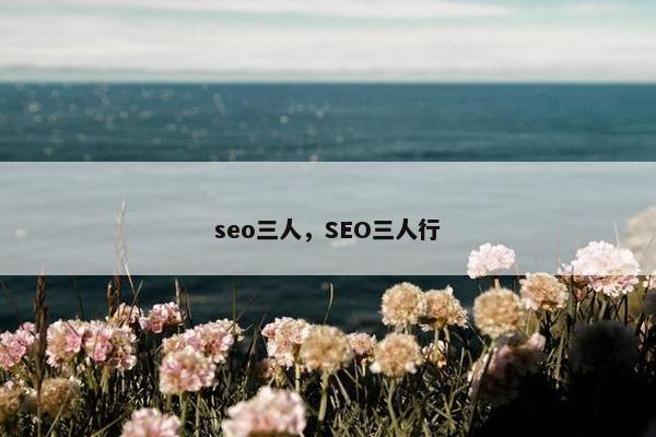 seo三人，SEO三人行