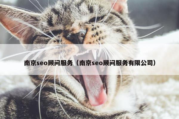 南京seo顾问服务（南京seo顾问服务有限公司）