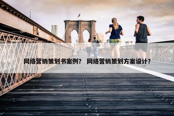 网络营销策划书案例？ 网络营销策划方案设计？