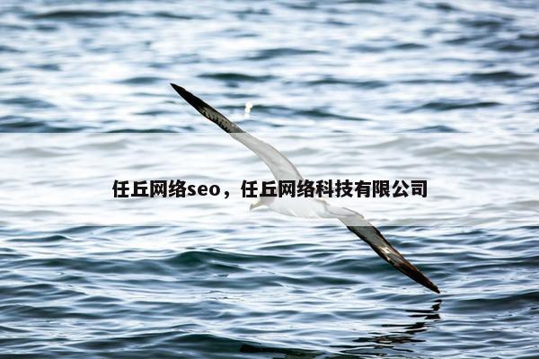 任丘网络seo，任丘网络科技有限公司