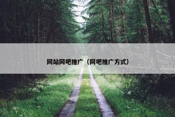 网站网吧推广（网吧推广方式）
