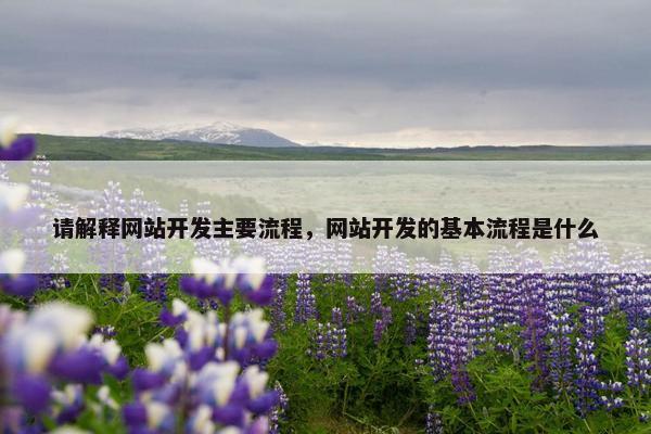 请解释网站开发主要流程，网站开发的基本流程是什么