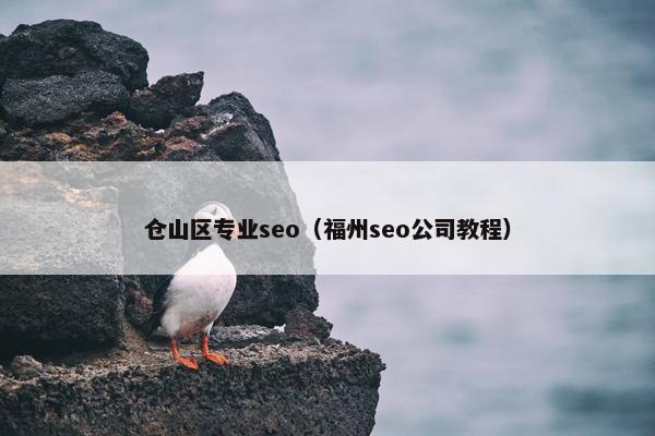 仓山区专业seo（福州seo公司教程）