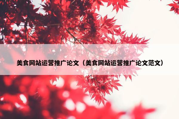美食网站运营推广论文（美食网站运营推广论文范文）