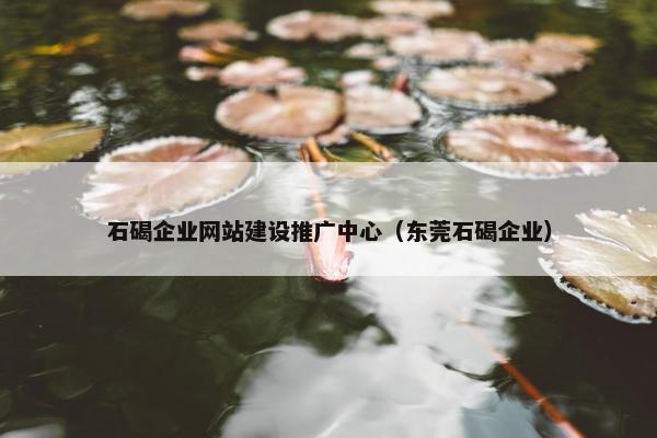 石碣企业网站建设推广中心（东莞石碣企业）