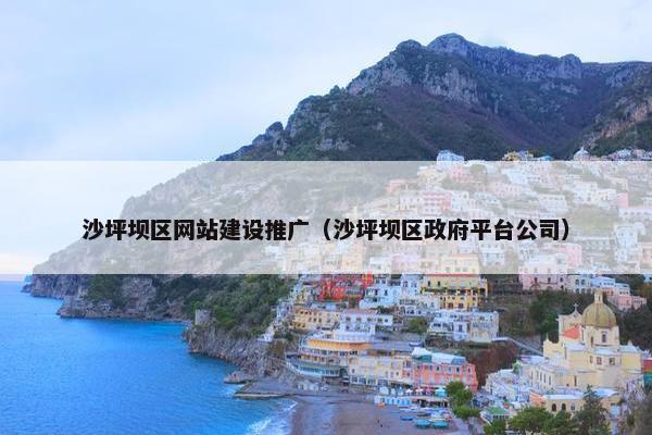 沙坪坝区网站建设推广（沙坪坝区政府平台公司）