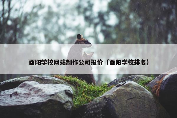 酉阳学校网站制作公司报价（酉阳学校排名）