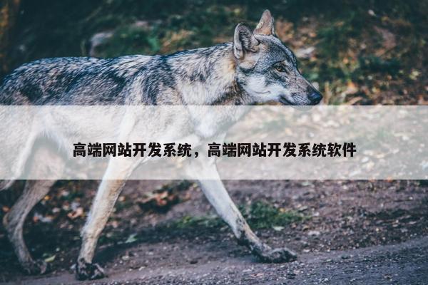 高端网站开发系统，高端网站开发系统软件