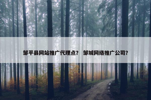 邹平县网站推广代理点？ 邹城网络推广公司？