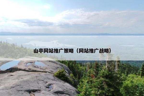 山亭网站推广策略（网站推广战略）