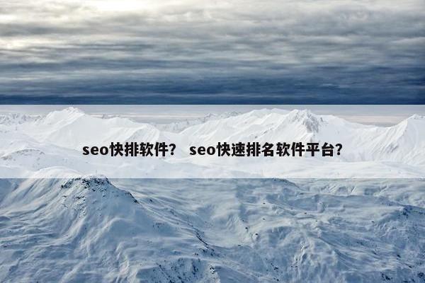 seo快排软件？ seo快速排名软件平台？