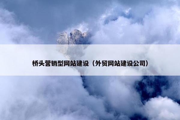 桥头营销型网站建设（外贸网站建设公司）