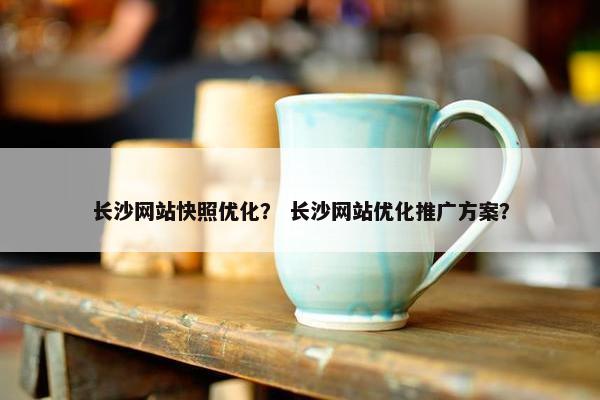 长沙网站快照优化？ 长沙网站优化推广方案？