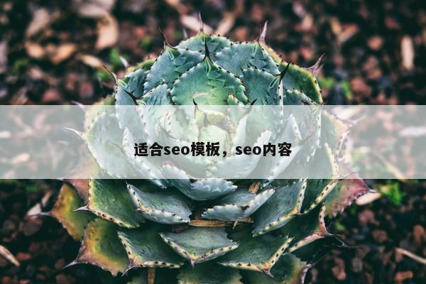 适合seo模板，seo内容