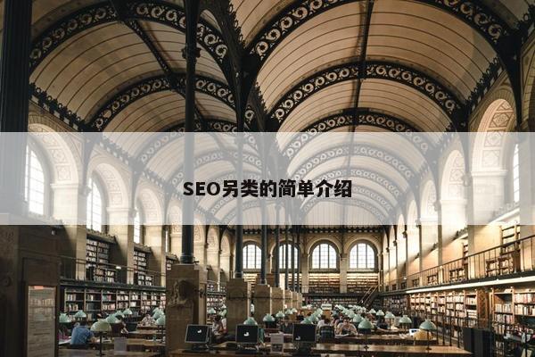 SEO另类的简单介绍